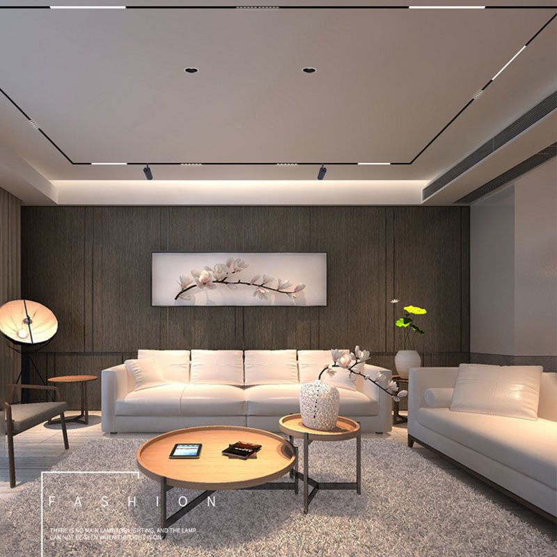 Đèn ray nam châm tán quang liolight